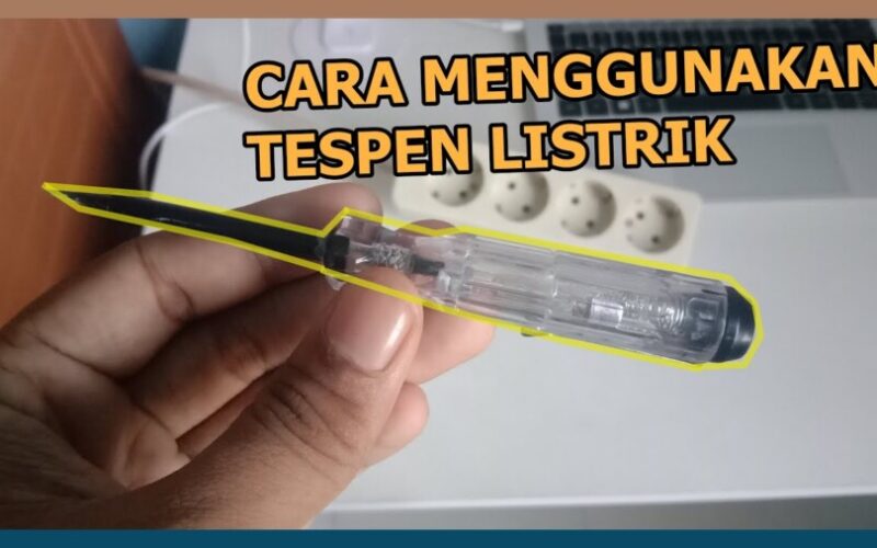 Cara Menggunakan Tespen