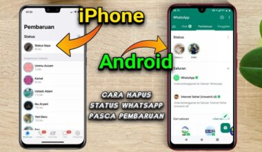 Cara Menghapus di Status WA