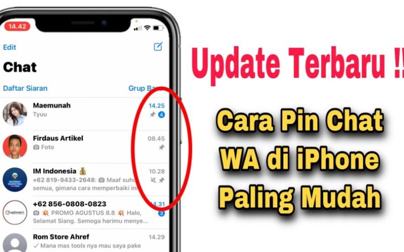 Cara Pin Chat WA di iPhone
